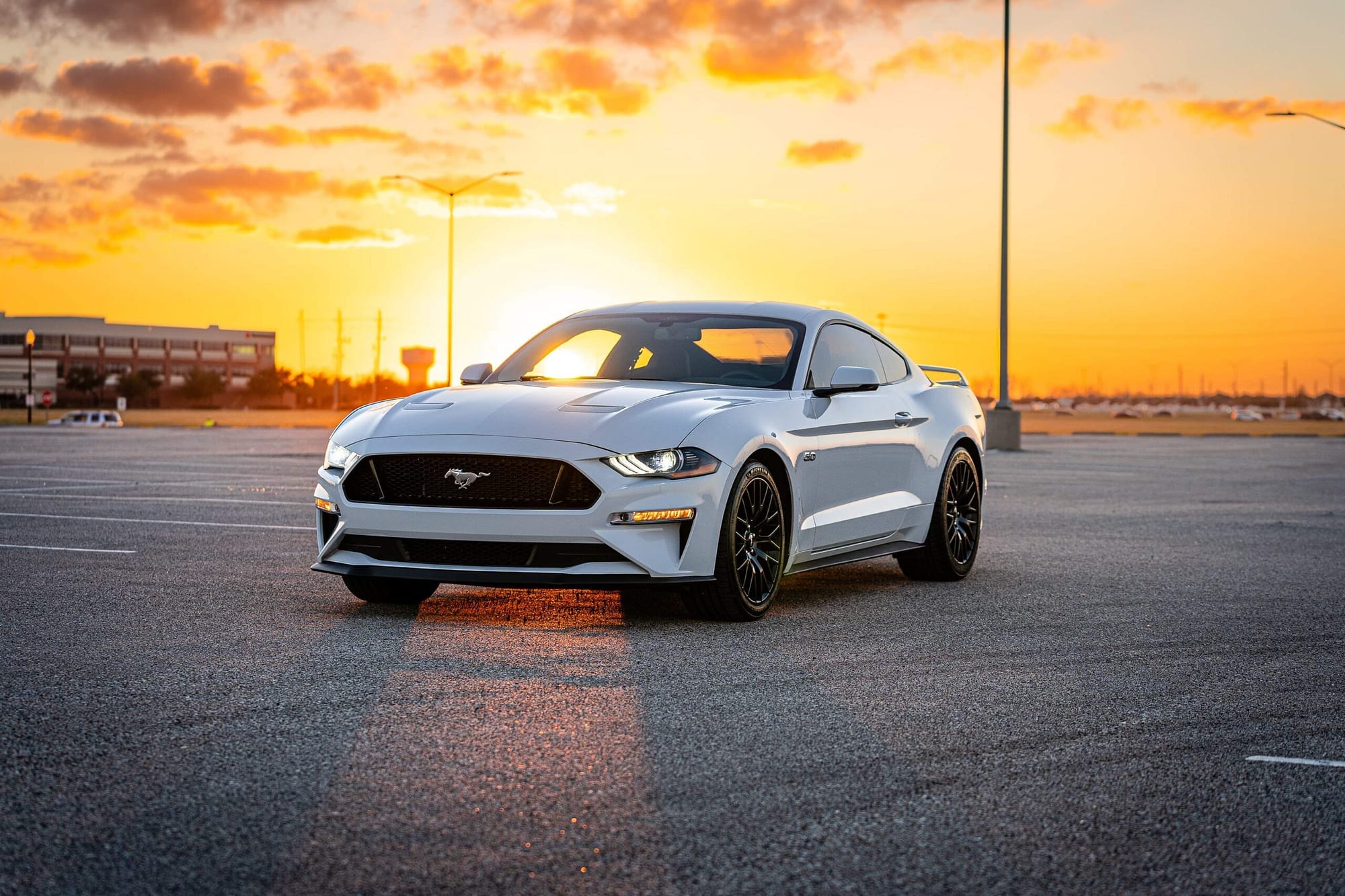 You are currently viewing Ford Shows Off Track Versions Of The 2024 Mustang
